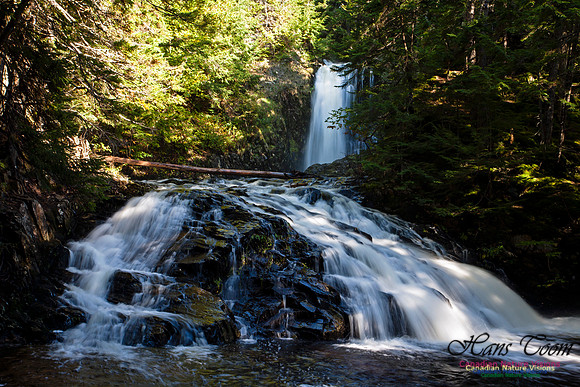Butchers Falls