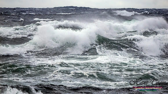 November Gale 3 105