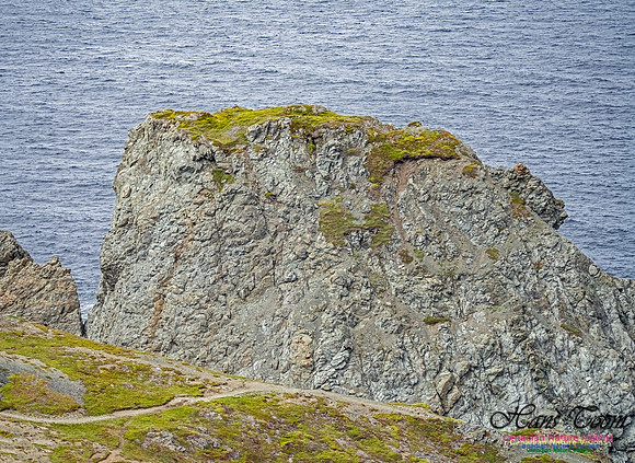 Twillingate 131