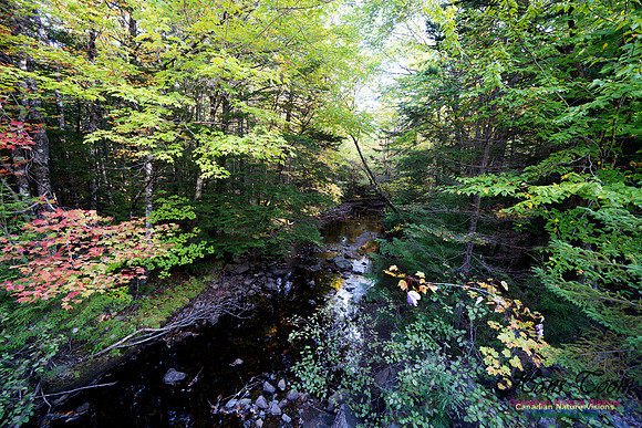 First Fall Photos Nova Scotia 128