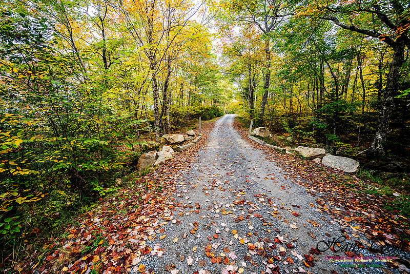 More Early Fall Photos in Nova Scotia 213