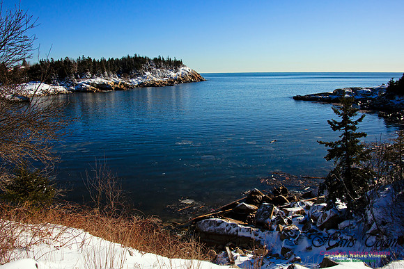 Herring Cove