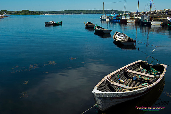 Aspotogan Peninsula
