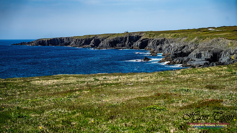 Cape Race 123