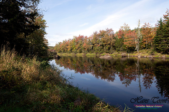 First Fall Photos Nova Scotia 104