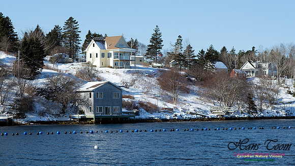 Prospect Bay Loop 129