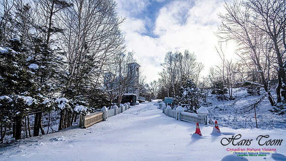 Nova Scotia Winter 339