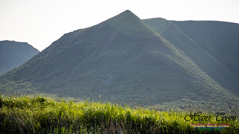 Table Mountains 117
