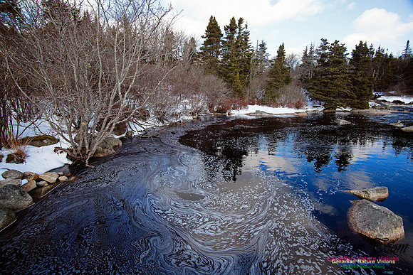 Pennant River