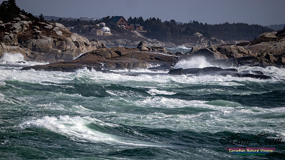 Coastal Tour 127