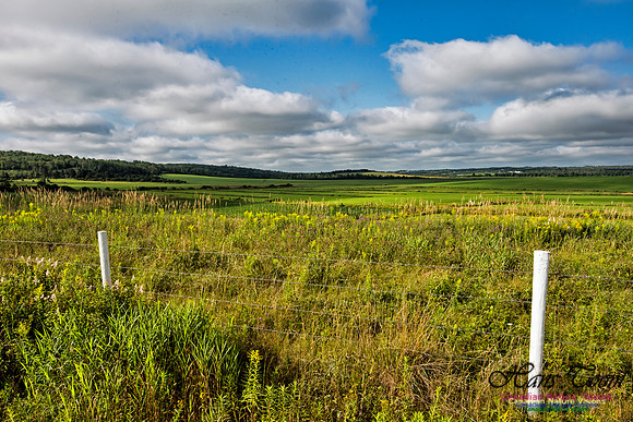 Pastoral Scene