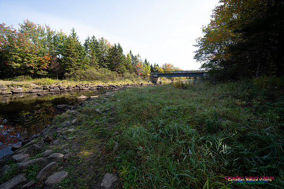 First Fall Photos Nova Scotia 102