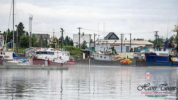 Harbour Traffic 102
