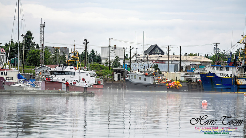Harbour Traffic 102