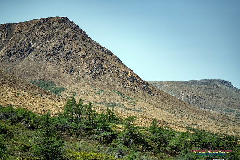 Table Mountains 106