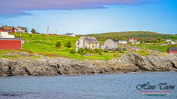 Twillingate 111