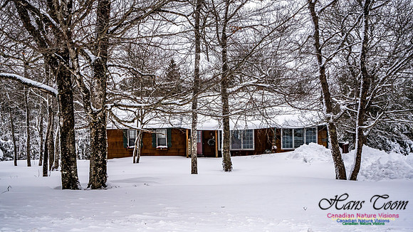 Some Winter Scenes 122