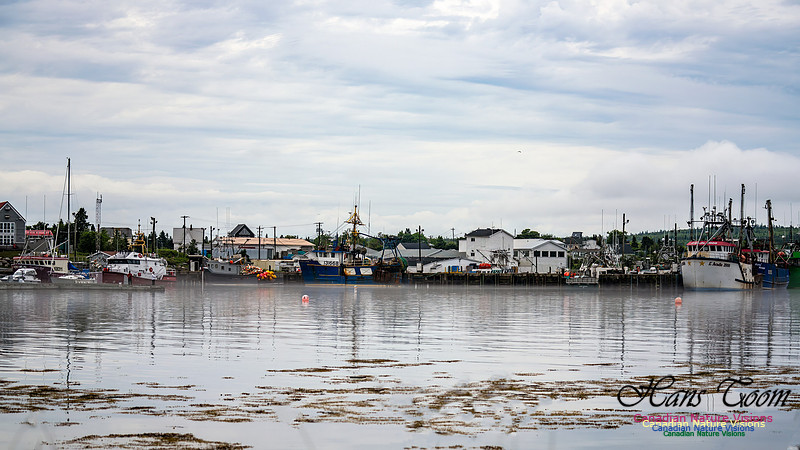 Harbour Traffic 105