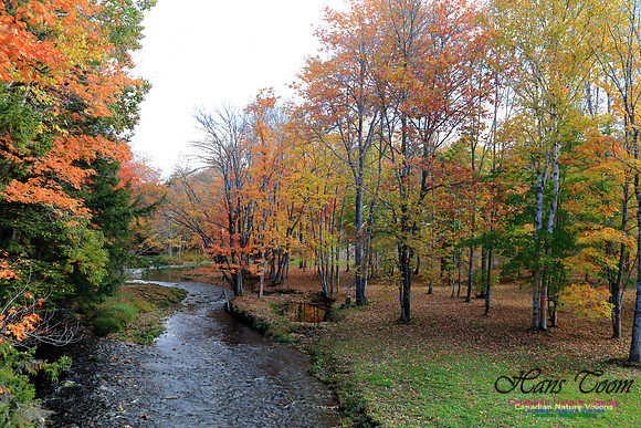 FallColours2016-1021