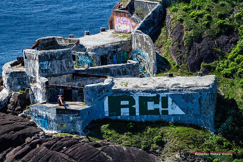 St. John's, Newfoundland 140