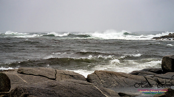 Nova Scotia Gale 2024-09-07 172