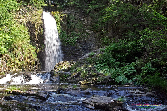 Butchers Falls