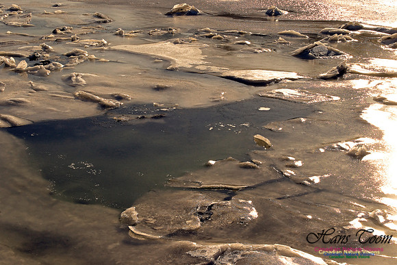 Ice and Water
