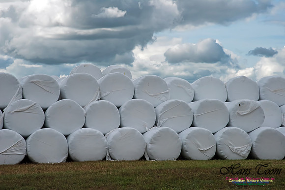 Hay Bales and Sky