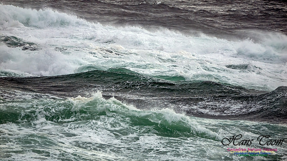 November Gale 3 119