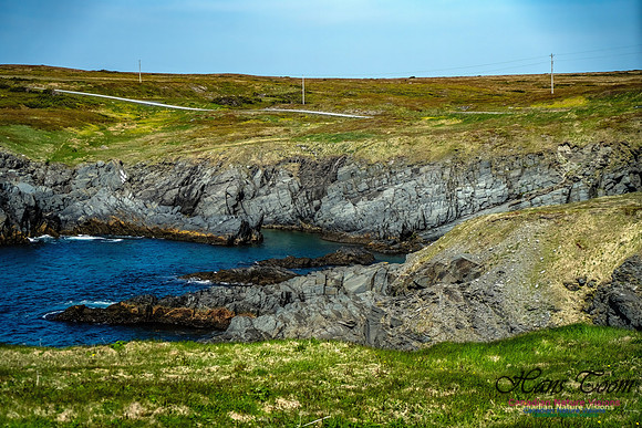 Cape Race 125