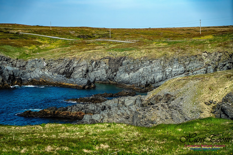 Cape Race 125