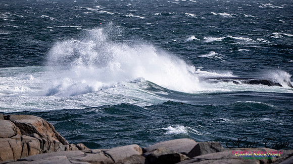 Coastal Tour 124