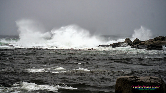 Nova Scotia Gale 2024-09-07 174