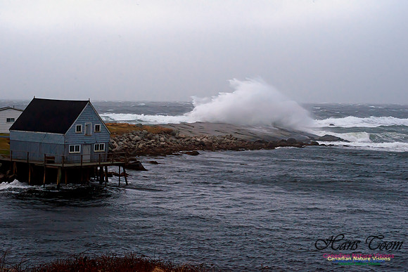 Peggys Cove