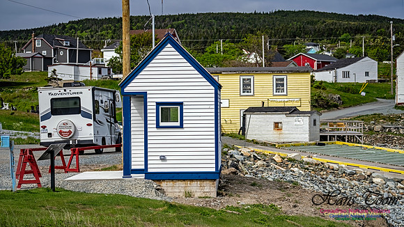 Twillingate 115