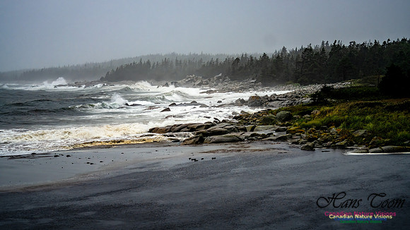 Nova Scotia Gale 2024-09-07 127