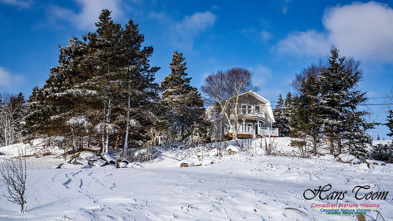 Nova Scotia Winter 322