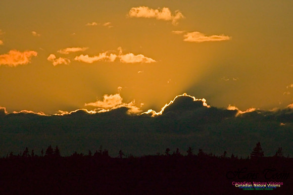 SunsetOverBarrens4