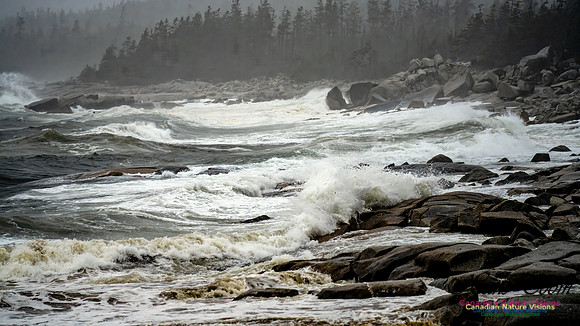 Nova Scotia Gale 2024-09-07 130