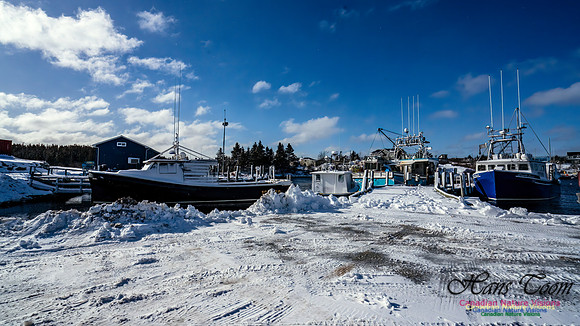 Nova Scotia Winter 308