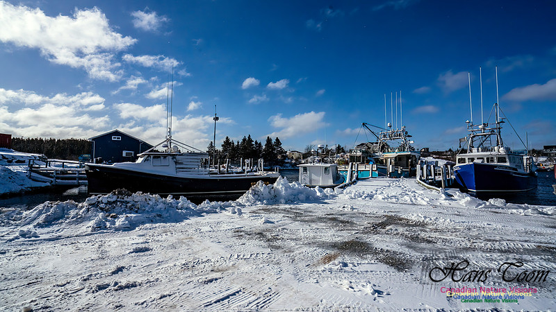 Nova Scotia Winter 308