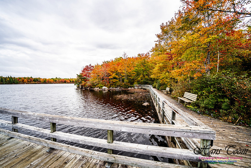 More Early Fall Photos in Nova Scotia 217