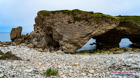 The Arches 103