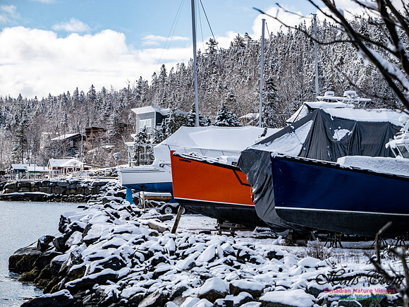 April Snow in Nova Scotia 233