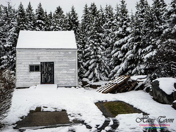 April Snow In Nova Scotia 119