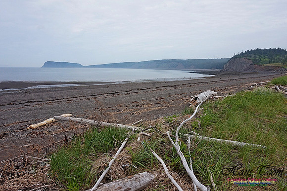 Partridge Island 170