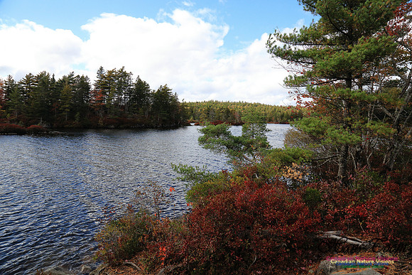 Bell Park