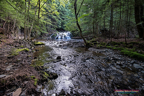 Butchers River
