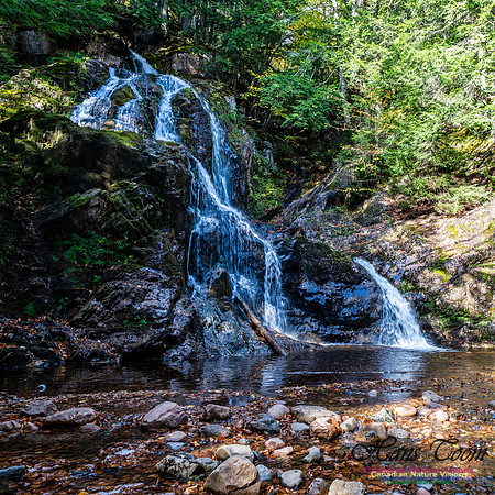 Wentworth Falls Trip 113