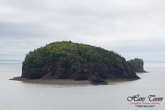 Two Islands 100